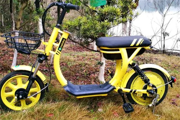 中国最好的十大电动车：飞鸽上榜，捷安特第一