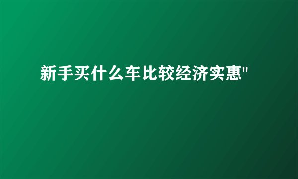 新手买什么车比较经济实惠