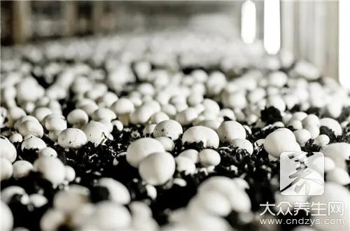 诺丽果酵素具有什么功效？