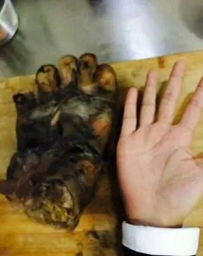 北京一女子晒吃熊掌照真的没事吗？