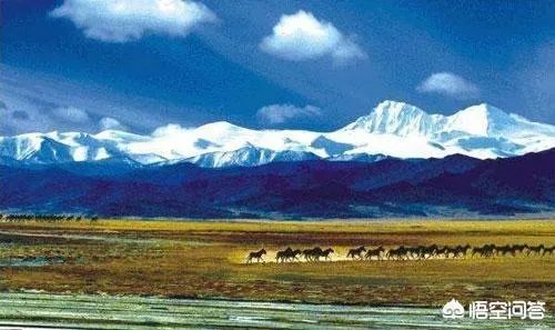 青海玉树突发5.3级地震，影响有多大？