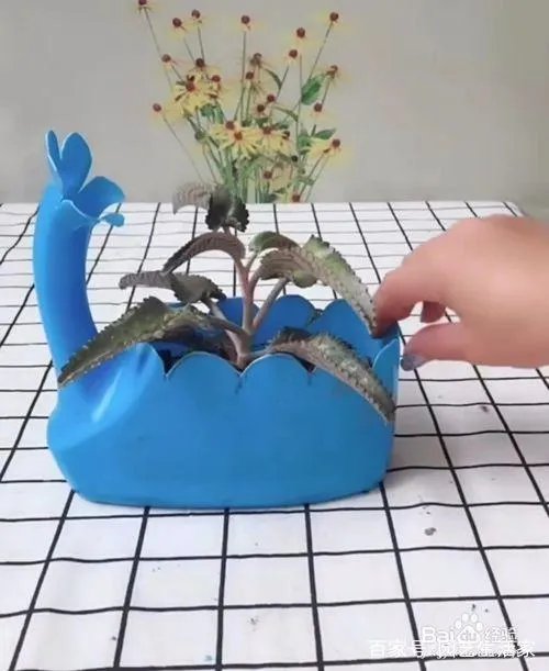 洗衣液瓶子做花盆制作方法图片