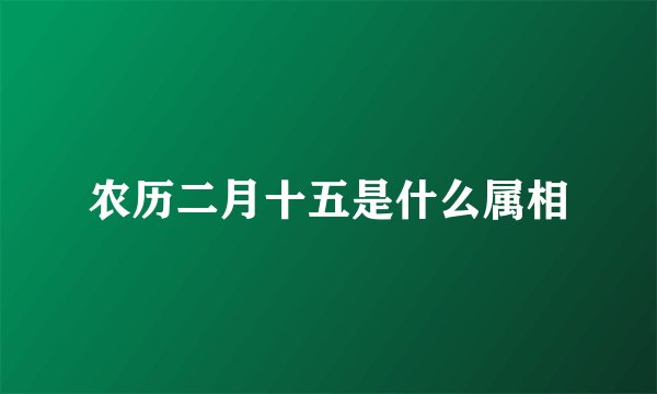 农历二月十五是什么属相