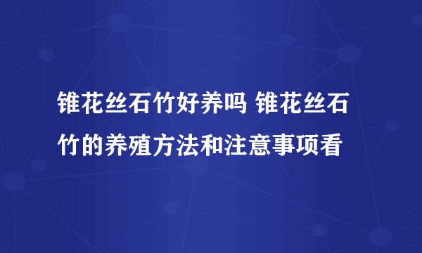 锥花丝石竹好养吗 锥花丝石竹的养殖方法和注意事项看