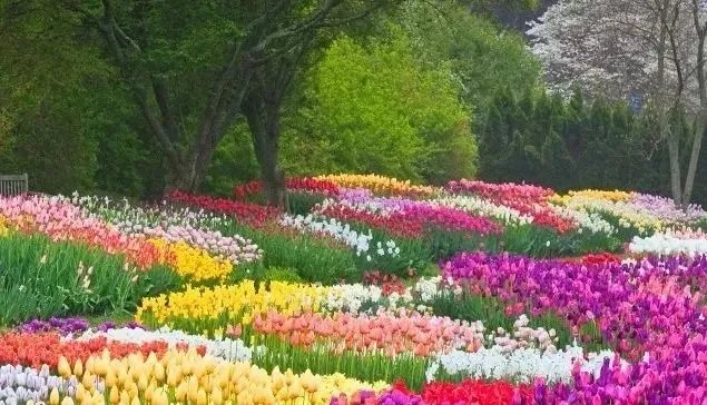 原创:花境按植物材料的分类及各自优缺点