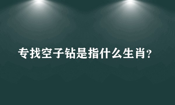 专找空子钻是指什么生肖？