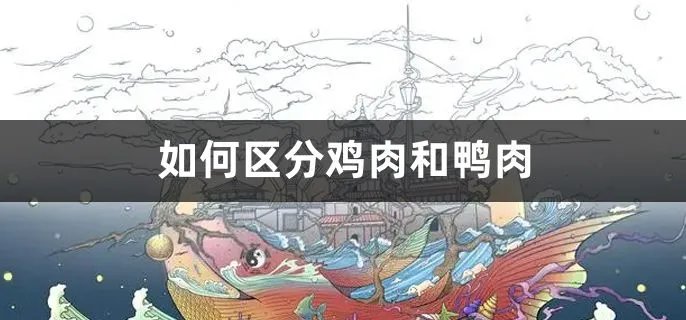 如何区分鸡肉和鸭肉