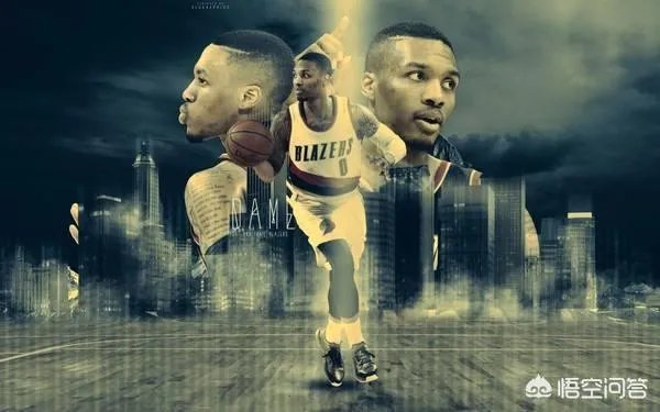 大家觉得欧文和利拉德的职业生涯哪个更加完美？