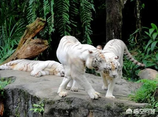 中国古人修真是真的吗？有什么历史记载吗？