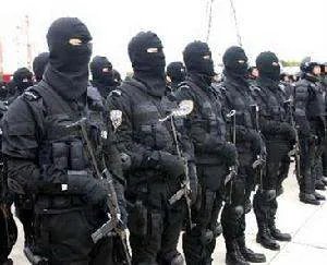 上海特警的介绍