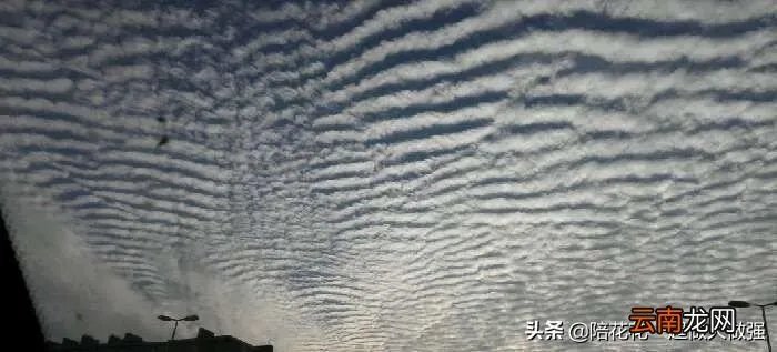 汶川地震曾出现的几个奇异现象 汶川地震灵异事件