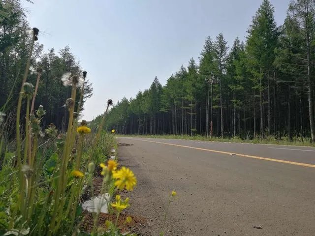 驴友拿出她的吃的跟我们分享