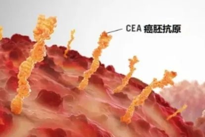 三年检查癌胚抗原都是8左右