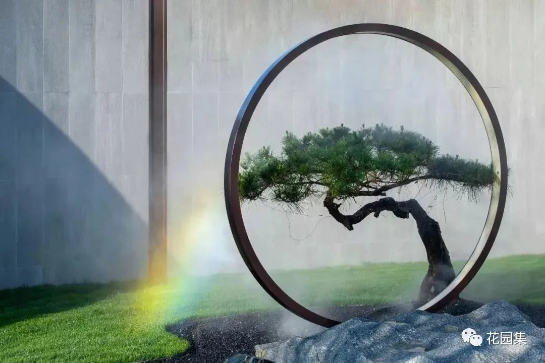 造型松，无奇不自由！气质庭院必备元素