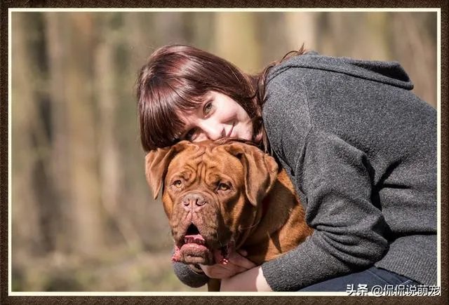 为什么我家狗狗每次突然见到主人我，都会尿失禁？