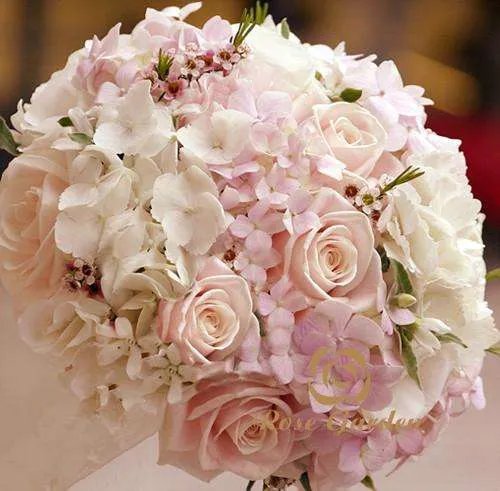 99朵玫瑰花语是什么 玫瑰花语每朵代表什么