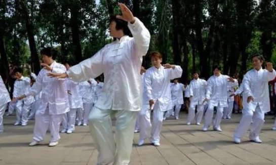 48式太极拳背向演练带口令的有什么？