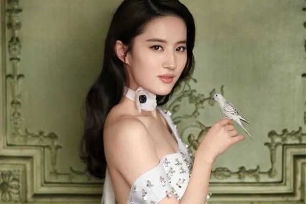 非诚勿扰中一个不错的男生，刚提到刘亦菲就被惨遭灭灯，其中究竟是何原因？