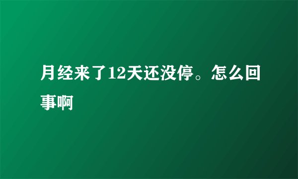 月经来了12天还没停。怎么回事啊