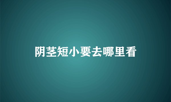 阴茎短小要去哪里看