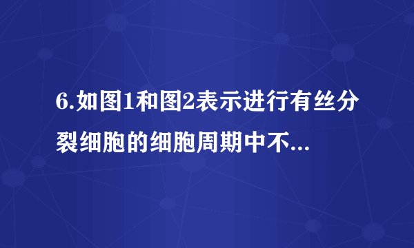 6.如图1和图2表示进行有丝分裂细胞的细胞周期中不同时期染色体和核DNA分子的数量关系，下列有关叙述不正确的是(  )A.观察染色体形态和数目的最佳时期处于图1的CD段B.图1中DE段的细胞染色体数目加倍，但核DNA分子的含量不变C.图2中a对应图1中的AB段，c对应图1中的EF段D.有丝分裂过程中不会出现图2中d所示的情况