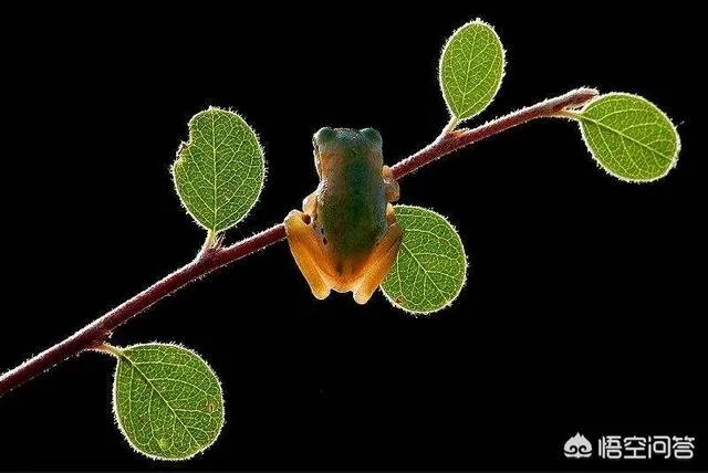 微观世界会有文明存在吗？