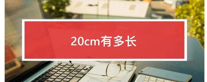 20cm有多长