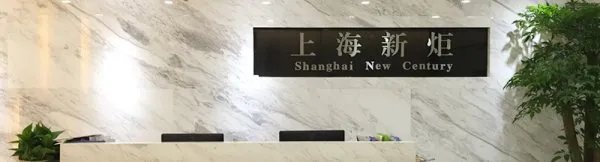 新炬网络的公司简介