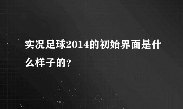 实况足球2014的初始界面是什么样子的？