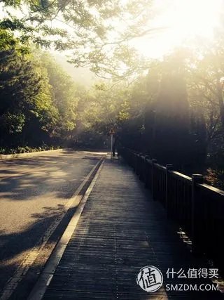 乃们要的黑丝！迪卡侬 APTONIA S-300 运动恢复袜