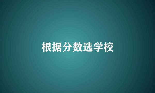 根据分数选学校