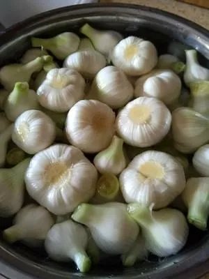 糖蒜怎么做好吃？糖蒜最正宗的做法