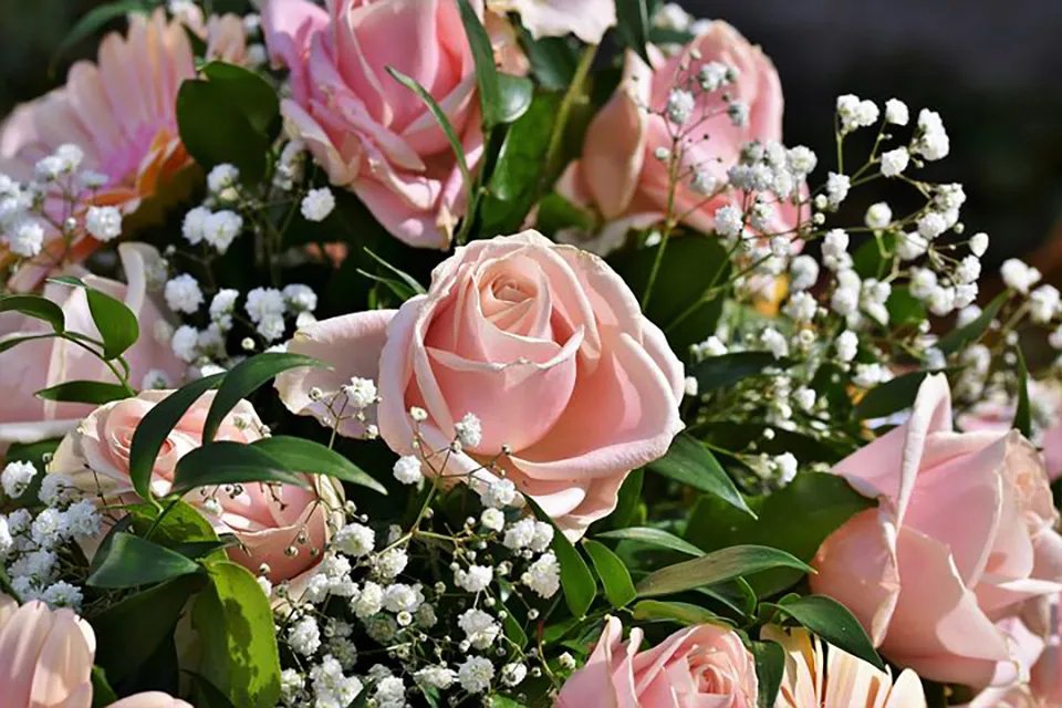 一万朵玫瑰花大概多少钱 一万朵玫瑰花大概多少重量