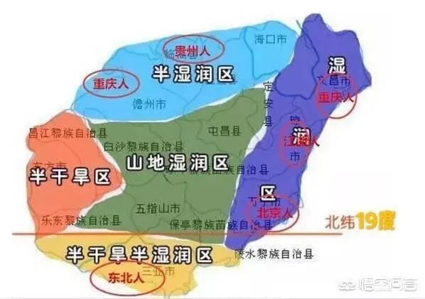 陵水高档小区租房