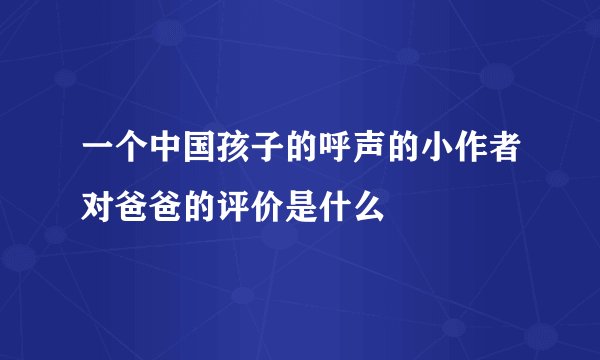 一个中国孩子的呼声的小作者对爸爸的评价是什么