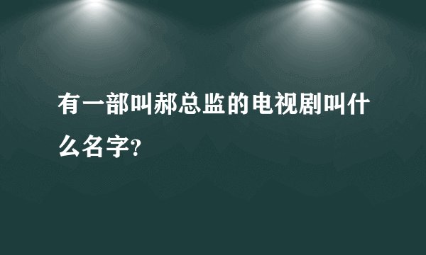 有一部叫郝总监的电视剧叫什么名字？