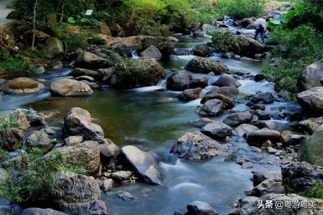 广州从化适合一个人去的地方