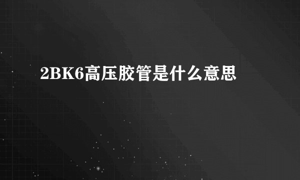 2BK6高压胶管是什么意思