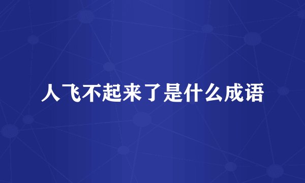 人飞不起来了是什么成语