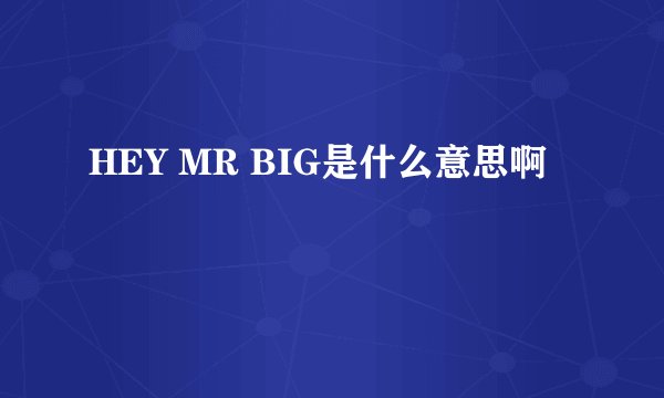 HEY MR BIG是什么意思啊