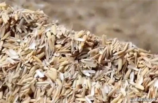 庄稼也能做屏幕：日本科学家首次用废弃稻壳开发出量子点LED灯