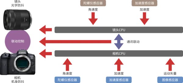 佳能RF 85mm F2微距镜头试拍简评