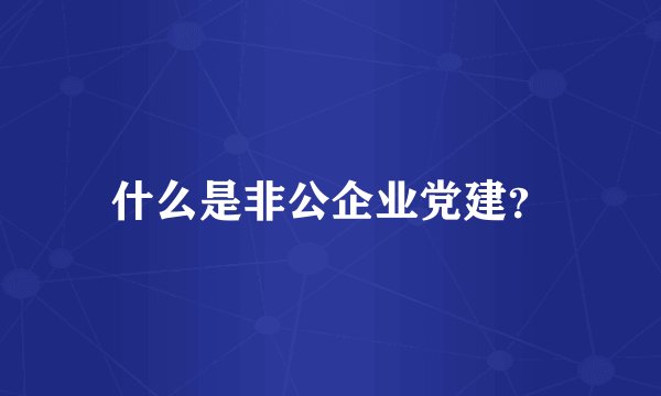 什么是非公企业党建？