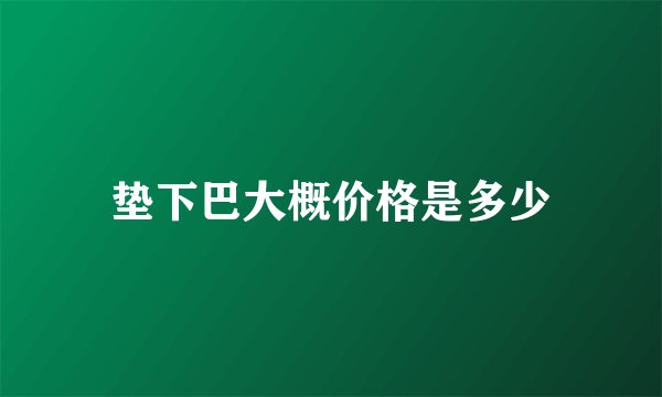 垫下巴大概价格是多少