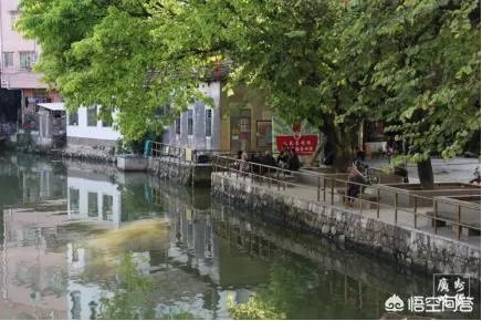 广州从化适合一个人去的地方