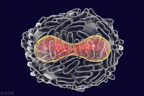 美国成世界上已知猴痘病例最多的国家，累计确诊5189例，为何如此严重？