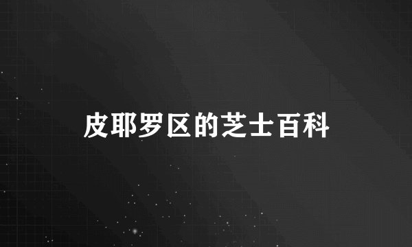 皮耶罗区的芝士百科