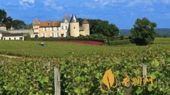 世界十大红酒酒庄 世界知名红酒酒庄