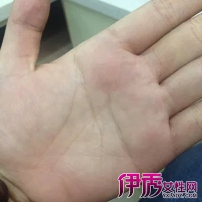 男人左手掌纹图解展示