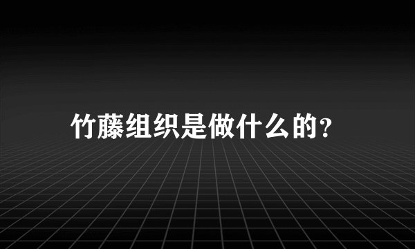 竹藤组织是做什么的？